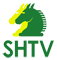 Schaakcombinatie HTV