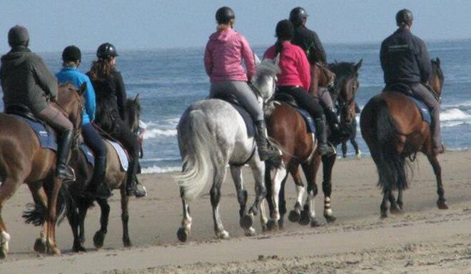 • Manege Berestein