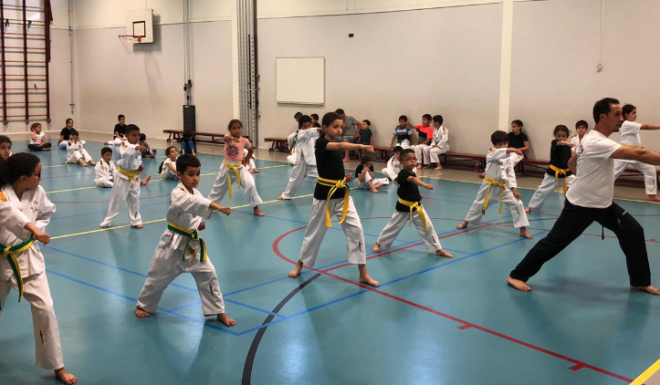 • Taekwondo Vereniging La Haye