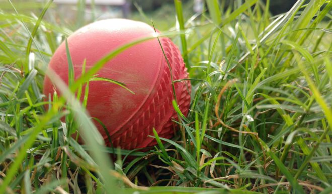 cricketbal in gras