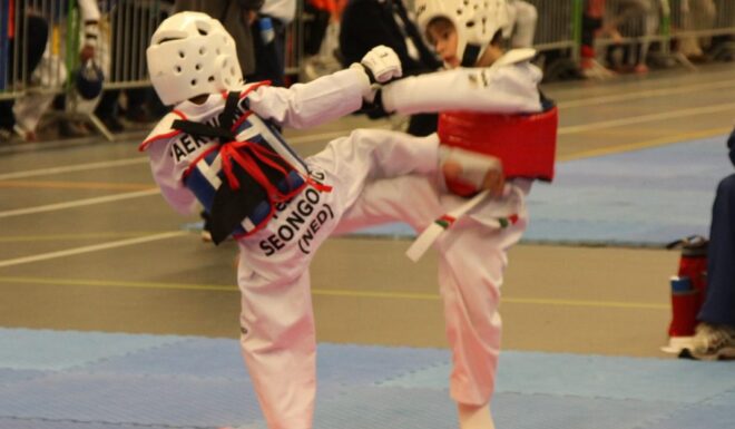 • Taekwondo Vereniging Seongong