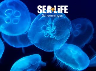 Sea Life Scheveningen BV