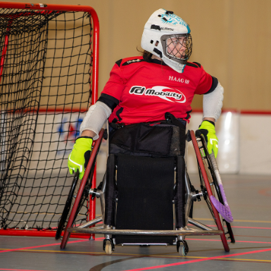 •Sportvereniging HAAG 88